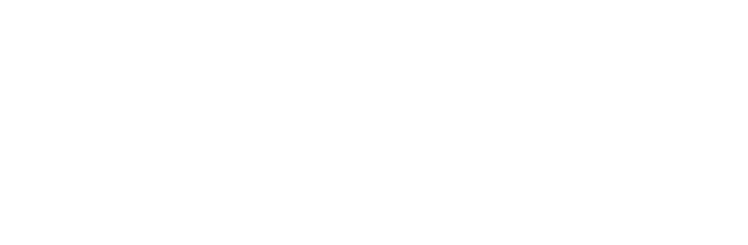 Plinius logo